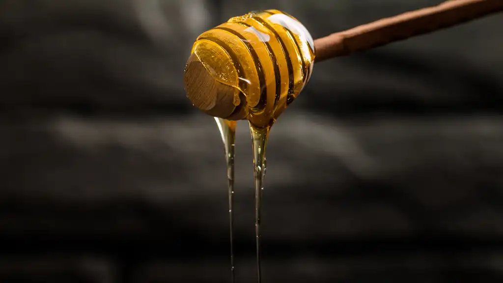 Premium European Honey