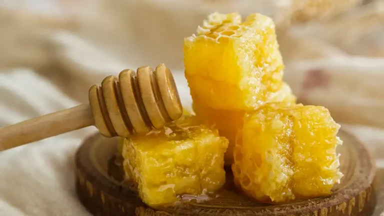 Best Organic Honey Qatar
