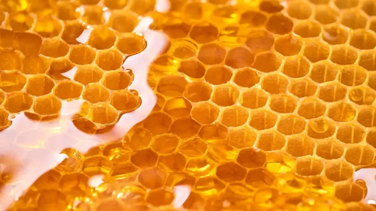 Where To Buy Pure Honey In Qatar
