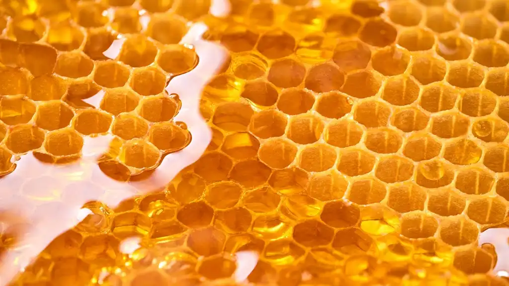 Where To Buy Pure Honey In Qatar