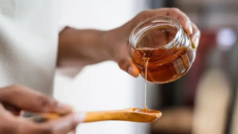 Honey Export Bosnia